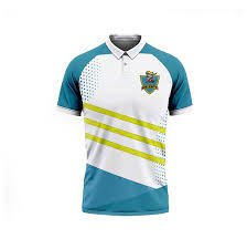 Custom Print T Shirt (Polyester)