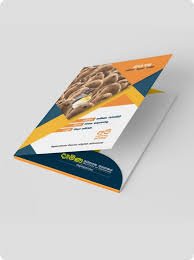 File Cover Prinitng