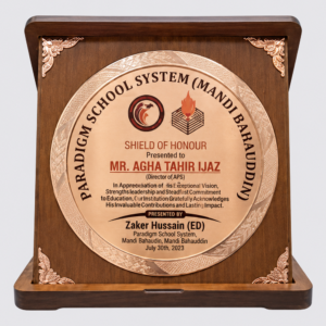 Premium Wooden Award Shield 11"x11" Brown P2
